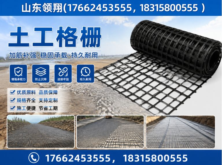 昌都土工格栅展示图